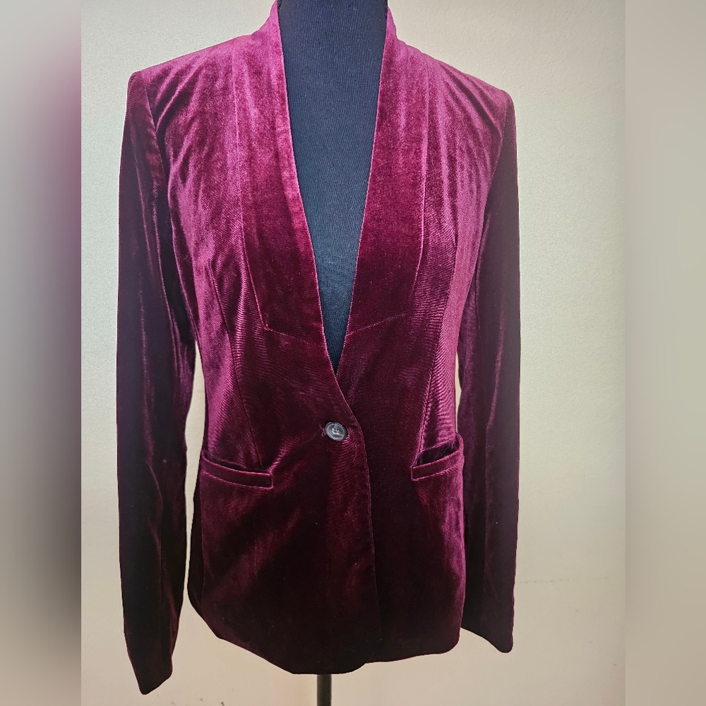 Velvet Blazer in Deep Burgundy